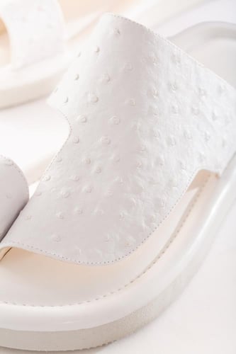 رقم المنتج S167