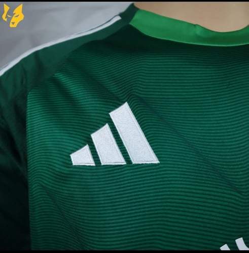 تيشيرت النادي الأهلي الإحتياطي نسخة اسيا(2024-2025...