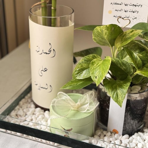 سلامتك خضراء