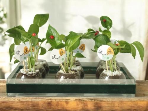 توزيعات للعيد