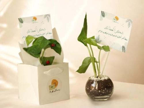 هدية شكرا لعطائك