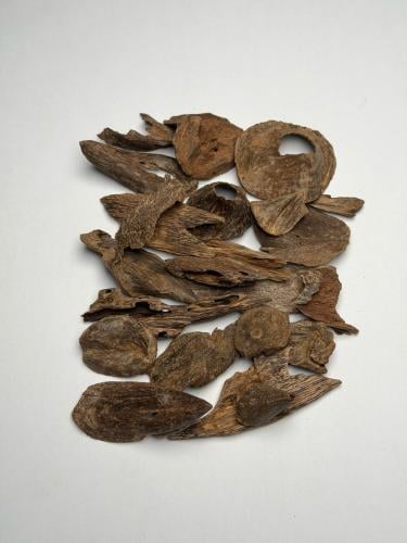 بابوا غينيا (حي)