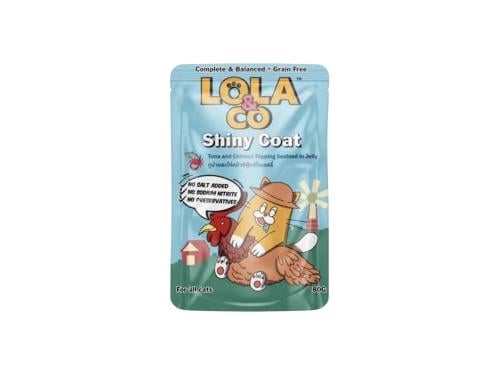 لولا اند كو مغلف قطط خال من الحبوب لفروٍ لامع بنكه...