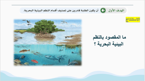 الفصل الثامن الأمن المائي