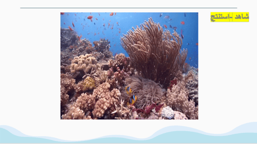 الفصل الثامن الأمن المائي