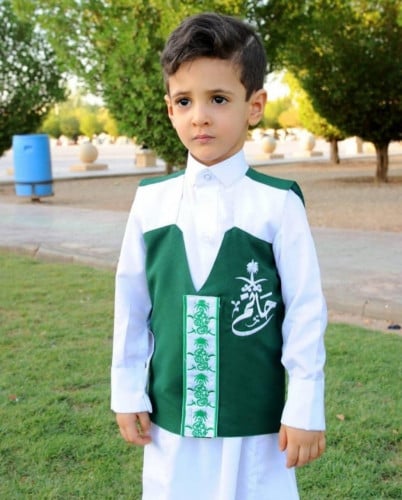 سديري سيفين ونخله