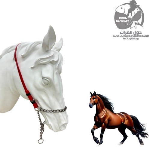 رئسية سلسلة PVC