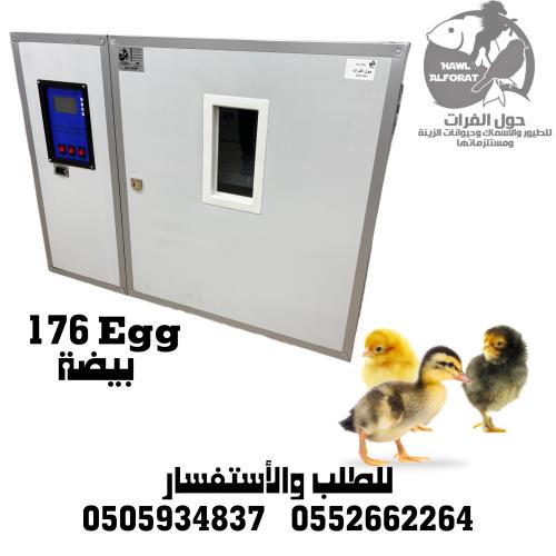 فقاسة 176 بيضة