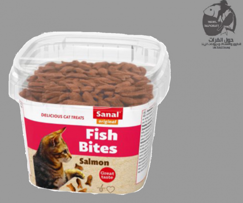 سنال مكافأة للقطط سلمون فيش بايتش 75g