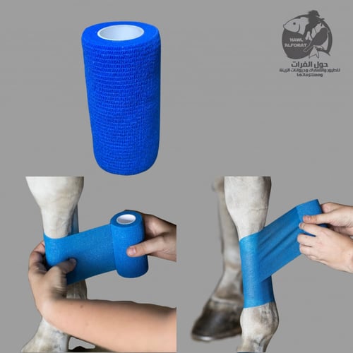 باندج طبي لاصق