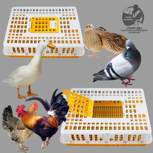 قفص نقل دواجن بلاستيك
