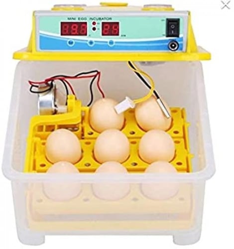 فقاسة 15بيضة