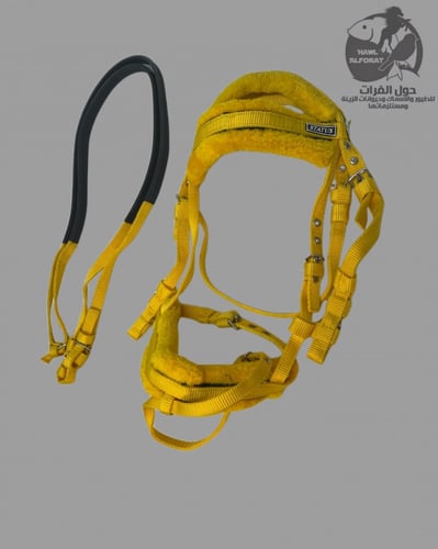 لجام ستيتس نيلون