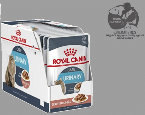 رويال كنن العناية بالمسالك البولية 85gX12