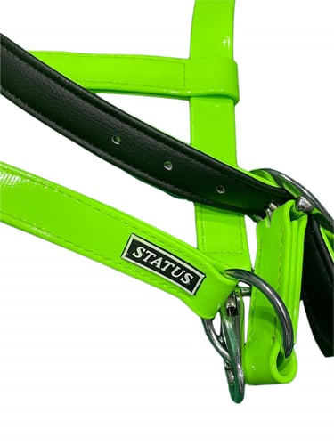 رشمة استيتس PVC مقاس وسط COB