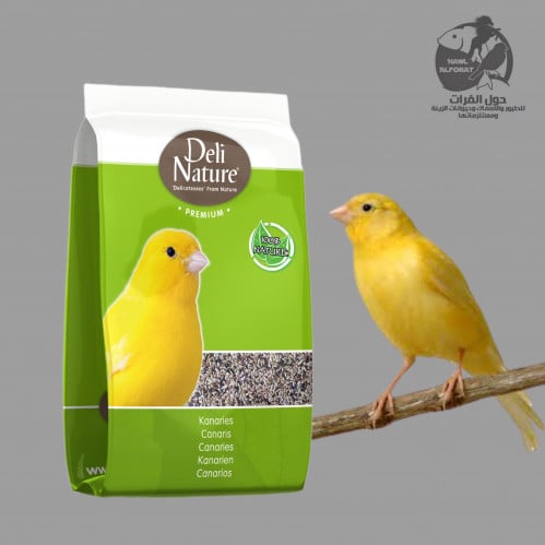طعام كناري بدون فيتامين ديلي نيشر