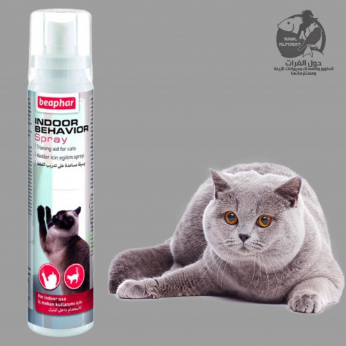 بيفار بخاخ تدريب منع القطط 125ml