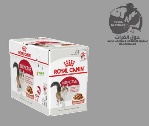 رويال كنن جيلي انستينكتف للقطط البالغة 85gX12