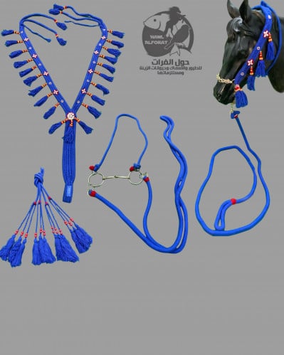 طقم لجام زينة عربي عدة الوان