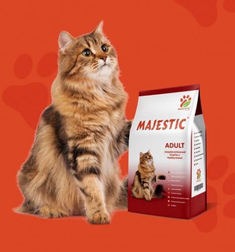 ماجستك قطط كبيرة