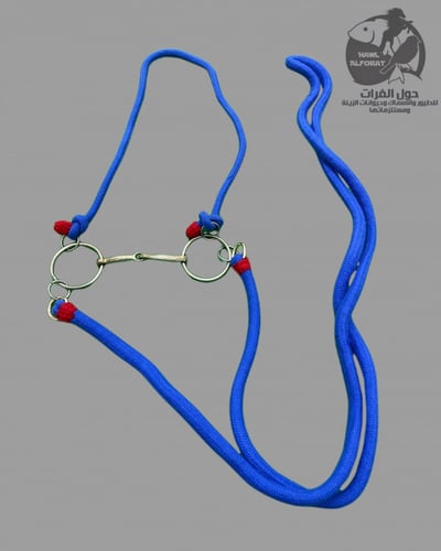 طقم لجام زينة عربي عدة الوان