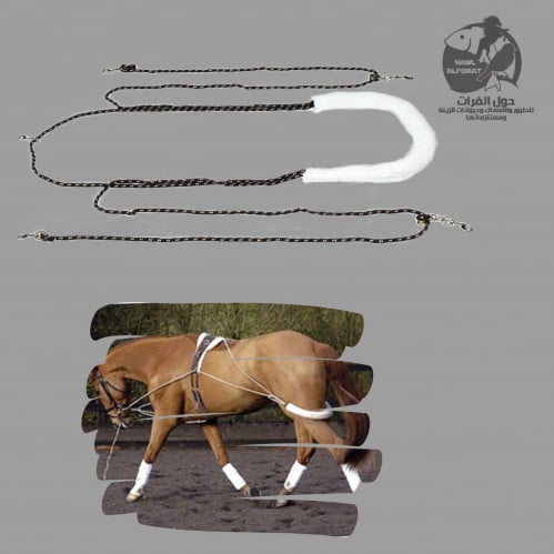 جهاز عسف و تدريب هاي رايدر