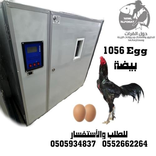 فقاسة 1056 بيضة