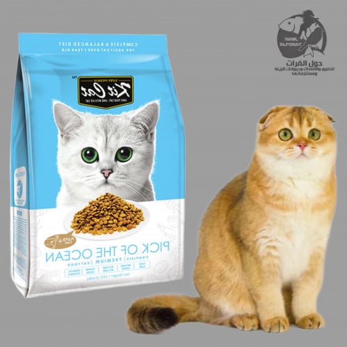 كيت كات العناية بالمسالك البولية طعام جاف 1.2kg