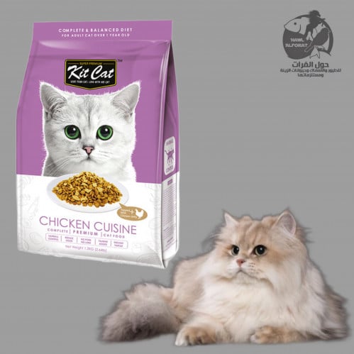 كيت كات طبق دجاج (التحكم في كرة الشعر) طعام جاف 1....