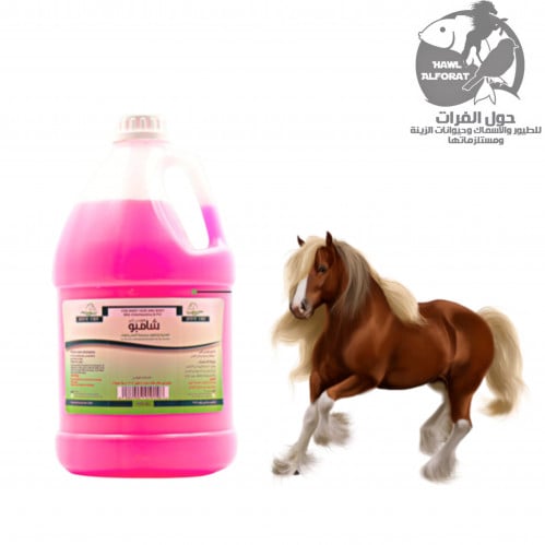 شامبو هورس كير بالبيتادين 3.5 لتر