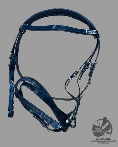 لجام ستيتس PVC