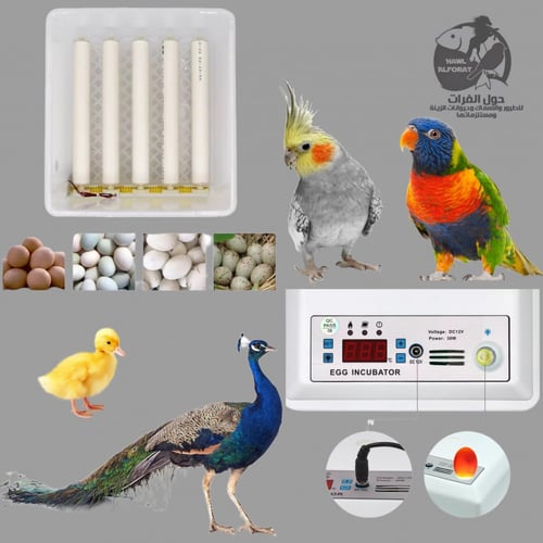 فقاسة منزلية رول 15 بيضة