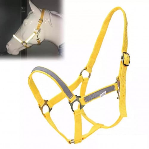 رشمة مع عاكس ليلي HF10117