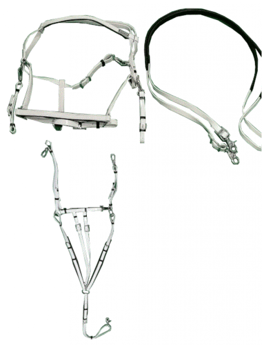 طقم لجام ستيتس PVC تحمل 4 قطع