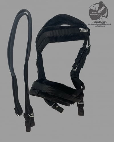 لجام ستيتس نيلون