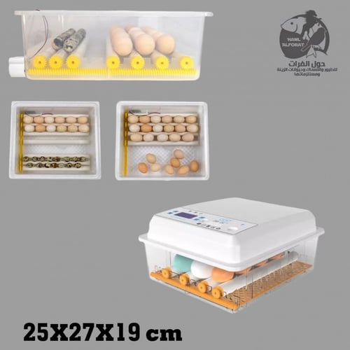 فقاسة منزلية رول 15 بيضة