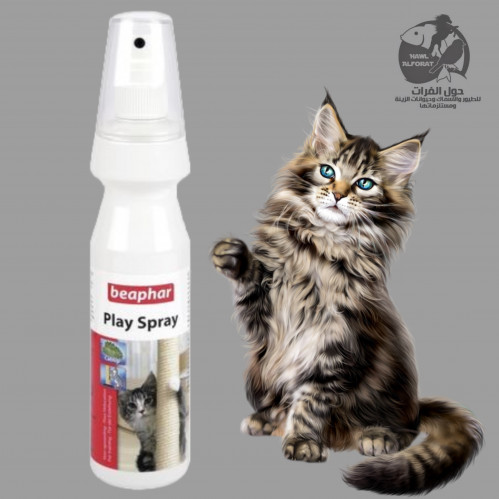 بيفار بخاخ تدريب جذب القطط 150ml