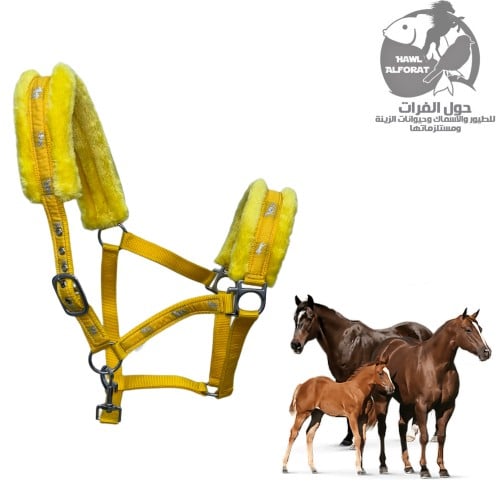 رشمة خيل مبطن فرو