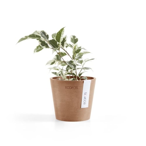 مركن إيكو بوت فايبر أمستردام ECOPOTS مقاس 20 × 17...