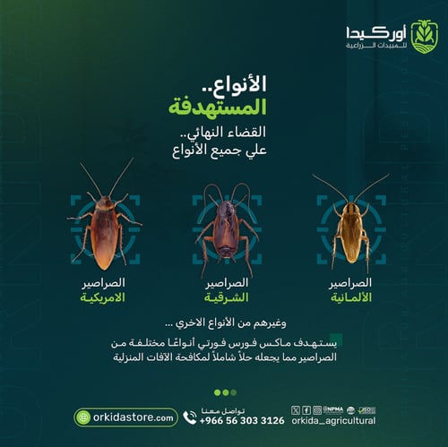 ماكس فورس فورتي جل لمكافحة صراصير 30 جرام