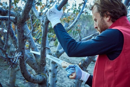 منشار يدوي بمقبض بلاستيك أسباني Bellota موديل 4588