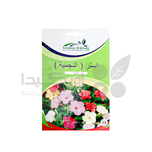 بذور استر النجمية 10 غم