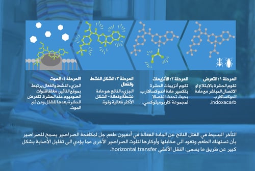 ادفيون جل لمكافحة الصراصير 30 جرام