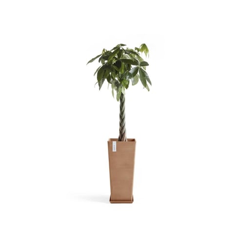 مركن إيكو بوت فايبر روتيردام ECOPOTS مقاس 32 × 14...