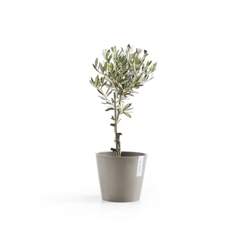 مركن إيكو بوت فايبر أمستردام ECOPOTS مقاس 20 × 17...