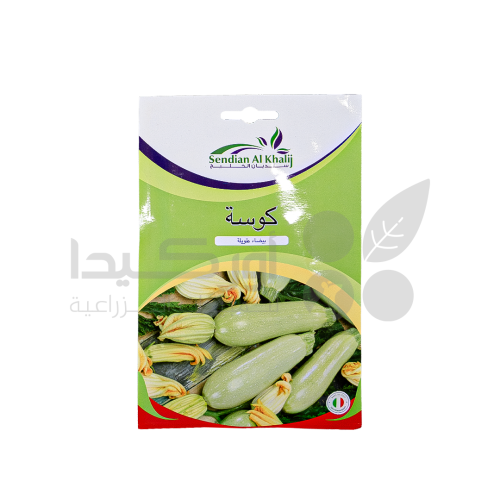 بذور كوسة بيضاء طويلة 10 غم
