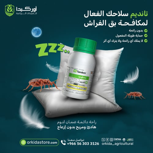 تانديم زي سي 250 ملل - كرتون 20 حبة