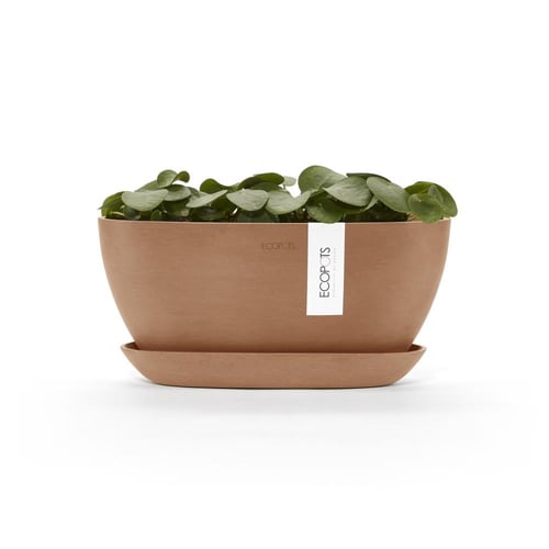 مركن إيكو بوت فايبر صوفيا ECOPOTS مقاس 43 × 25 × 1...