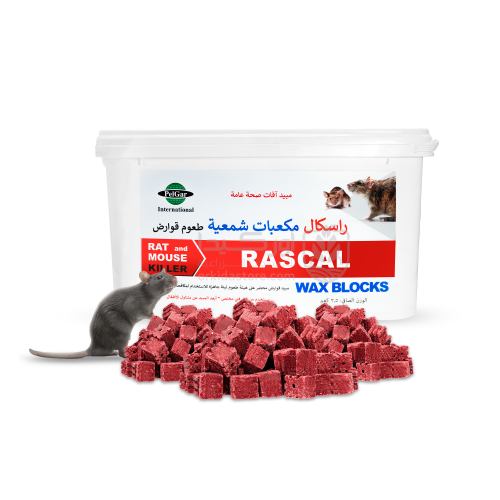 راسكال مكعبات شمعية لمكافحة الفئران والجرذان 2.5 ك...