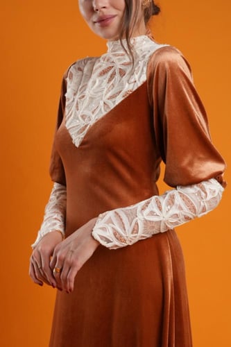 أقحوان ڤيلڤت